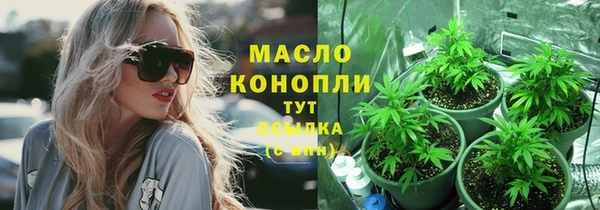 крисы Абдулино