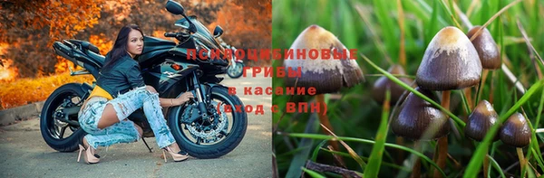 крисы Абдулино